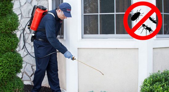 Susurluk Gümüşkurt İlaçlama böcek ilaçlama ve haşere kontrolü — ilaclama-tr.com